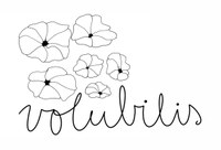 logo Volubilis.jpg